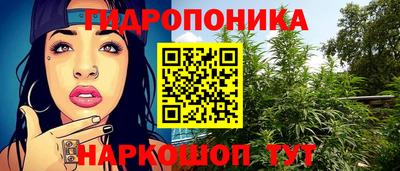 ALPHA PVP Урус-Мартан
