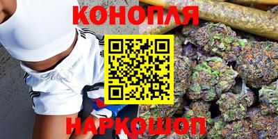 ALPHA PVP Урус-Мартан